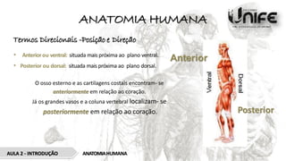 ANATOMIA HUMANA
Termos Direcionais -Posição e Direção
• Anteriorou ventral: situada mais próxima ao plano ventral.
• Posterior ou dorsal: situada mais próxima ao plano dorsal.
O osso esterno e as cartilagens costais encontram- se
anteriormente em relação ao coração.
Já os grandes vasos e a coluna vertebral localizam- se
posteriormente em relação ao coração.
ANATOMIAHUMANA
AULA 2 - INTRODUÇÃO
Anterior
Posterior
 