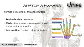 ANATOMIA HUMANA
Termos Direcionais -Posição e Direção
• Proximal e distal: membros.
• Média: situada entre uma estrutura dorsal
e oura ventral ou superior.
• Intermediária: entre duas estruturas.
ANATOMIAHUMANA
AULA 2 - INTRODUÇÃO
Distal
Proximal
Média
 