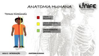 ANATOMIA HUMANA
Termos Direcionais
ANATOMIAHUMANA
AULA 2 - INTRODUÇÃO
LINHA
MEDIANA
LINHA SARGITAL
MEDIANO
LINHA SARGITAL
LATERAL
 