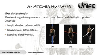 ANATOMIA HUMANA
Eixos de Construção
São eixos imaginários que unem o centro dos planos de delimitação opostos.
Descrição:
• Longitudinal ou crânio-podálico.
• Transverso ou látero-lateral.
• Sagitalou dorso-ventral.
ANATOMIAHUMANA
AULA 2 - INTRODUÇÃO
 