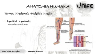 ANATOMIA HUMANA
Termos Direcionais -Posição e Direção
• Superficial e profundo:
camadas ou estratos.
ANATOMIAHUMANA
AULA 2 - INTRODUÇÃO
 