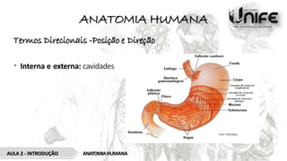 ANATOMIA HUMANA
Termos Direcionais -Posição e Direção
• Interna e externa: cavidades
ANATOMIAHUMANA
AULA 2 - INTRODUÇÃO
 