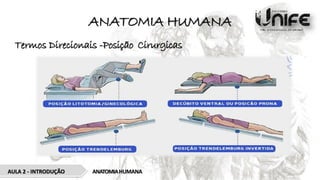 ANATOMIA HUMANA
Termos Direcionais -Posição Cirurgicas
ANATOMIAHUMANA
AULA 2 - INTRODUÇÃO
 