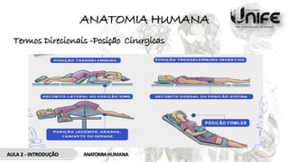 ANATOMIA HUMANA
Termos Direcionais -Posição Cirurgicas
ANATOMIAHUMANA
AULA 2 - INTRODUÇÃO
 