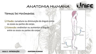 ANATOMIA HUMANA
Termos De Movimentos
 Flexão: curvatura ou diminuição do ângulo entre
os ossos ou partes do corpo.
 Extensão: endireitar ou aumentar o ângulo
entre os ossos ou partes do corpo.
ANATOMIAHUMANA
AULA 2 - INTRODUÇÃO
 