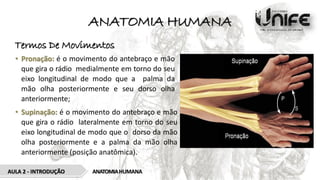 ANATOMIA HUMANA
Termos De Movimentos
• Pronação: é o movimento do antebraço e mão
que gira o rádio medialmente em torno do seu
eixo longitudinal de modo que a palma da
mão olha posteriormente e seu dorso olha
anteriormente;
• Supinação: é o movimento do antebraço e mão
que gira o rádio lateralmente em torno do seu
eixo longitudinal de modo que o dorso da mão
olha posteriormente e a palma da mão olha
anteriormente (posição anatômica).
ANATOMIAHUMANA
AULA 2 - INTRODUÇÃO
 