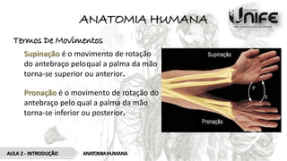 ANATOMIA HUMANA
Termos De Movimentos
Supinação é o movimento de rotação
do antebraço peloqual a palma da mão
torna-se superior ou anterior.
Pronação é o movimento de rotação do
antebraço pelo qual a palma da mão
torna-se inferior ou posterior.
ANATOMIAHUMANA
AULA 2 - INTRODUÇÃO
 