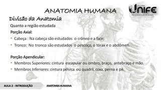 ANATOMIA HUMANA
Divisão da Anatomia
Quanto a região estudada
Porção Axial:
• Cabeça : Na cabeça são estudados o crâneo e a face;
• Tronco: No tronco são estudados o pescoço, o tórax e o abdômen.
Porção Apendicular:
• Membros Superiores: cintura escapular ou ombro, braço, antebraço e mão.
• Membros Inferiores: cintura pélvica ou quadril, coxa, perna e pé.
AULA 2 - INTRODUÇÃO ANATOMIAHUMANA
 