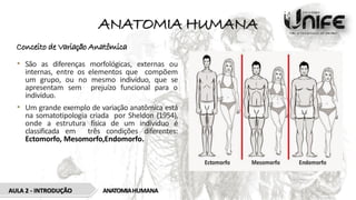 ANATOMIA HUMANA
Conceito de Variação Anatômica
• São as diferenças morfológicas, externas ou
internas, entre os elementos que compõem
um grupo, ou no mesmo indivíduo, que se
apresentam sem prejuízo funcional para o
indivíduo.
• Um grande exemplo de variação anatômica está
na somatotipologia criada por Sheldon (1954),
onde a estrutura física de um indivíduo é
classificada em três condições diferentes:
Ectomorfo, Mesomorfo,Endomorfo.
AULA 2 - INTRODUÇÃO ANATOMIAHUMANA
 