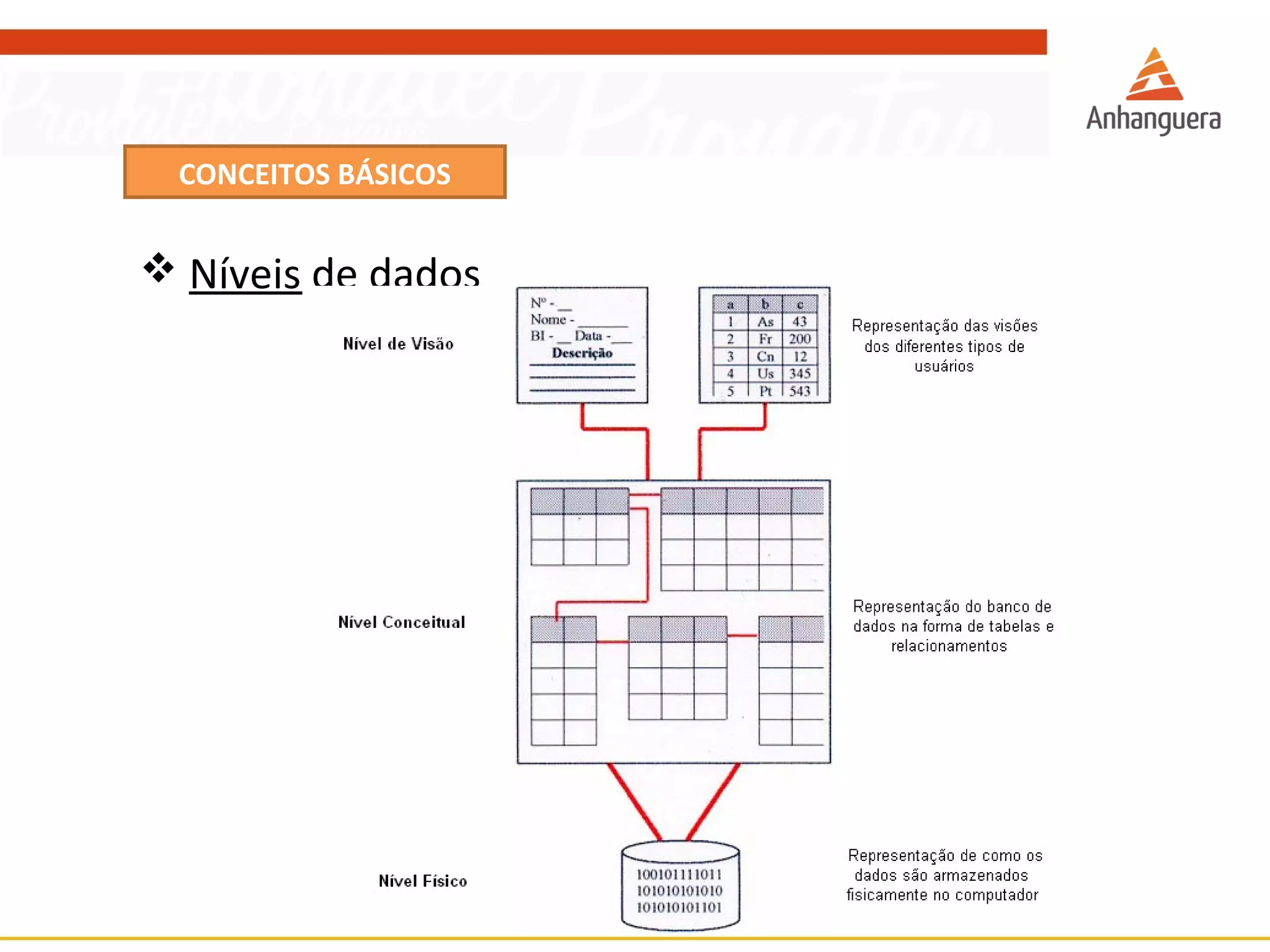 CONCEITOS BÁSICOS 
 Níveis de dados 
 