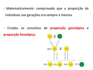- Matematicamente: comprovado que a proporção de
indivíduos nas gerações era sempre a mesma.
- Criados os conceitos de proporção genotípica e
proporção fenotípica.
 