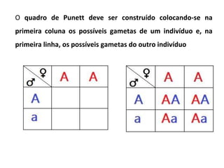 O quadro de Punett deve ser construído colocando-se na
primeira coluna os possíveis gametas de um indivíduo e, na
primeira linha, os possíveis gametas do outro indivíduo
 
