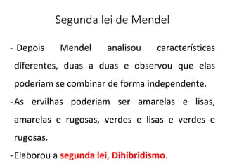 Segunda lei de Mendel
- Depois Mendel analisou características
diferentes, duas a duas e observou que elas
poderiam se combinar de forma independente.
-As ervilhas poderiam ser amarelas e lisas,
amarelas e rugosas, verdes e lisas e verdes e
rugosas.
-Elaborou a segunda lei, Dihibridismo.
 