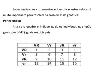 Saber realizar os cruzamentos e identificar estes valores é
muito importante para resolver os problemas de genética.
Por exemplo:
Analise o quadro e indique quais os indivíduos que terão
genótipos (VvRr) iguais aos dois pais.
 
