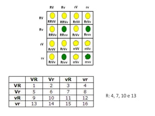 R: 4, 7, 10 e 13
 