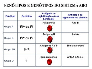 FENÓTIPOS E GENÓTIPOS DO SISTEMAABO
Fenótipo Genótipo
Antígeno ou
aglutinogênio (nas
hemácias)
Anticorpo ou
aglutinina (no plasma)
Grupo A IAIA ou IAi
Antígeno A Anti-B
Grupo B IBIB ou IBi
Antígeno B Anti-A
Grupo AB IAIB
Antígenos A e B Sem anticorpos
Grupo O ii
Sem antígenos Anti-A e Anti-B
 