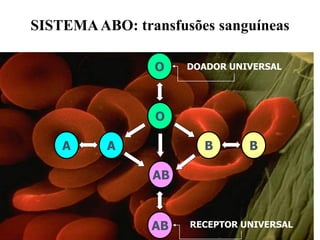 SISTEMAABO: transfusões sanguíneas
A
O
AB
A
O
AB
DOADOR UNIVERSAL
RECEPTOR UNIVERSAL
B
B
 