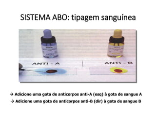 SISTEMA ABO: tipagem sanguínea
→ Adicione uma gota de anticorpos anti-A (esq) à gota de sangue A
→ Adicione uma gota de anticorpos anti-B (dir) à gota de sangue B
 