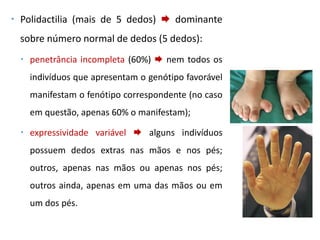  Polidactilia (mais de 5 dedos)  dominante
sobre número normal de dedos (5 dedos):
 penetrância incompleta (60%)  nem todos os
indivíduos que apresentam o genótipo favorável
manifestam o fenótipo correspondente (no caso
em questão, apenas 60% o manifestam);
 expressividade variável  alguns indivíduos
possuem dedos extras nas mãos e nos pés;
outros, apenas nas mãos ou apenas nos pés;
outros ainda, apenas em uma das mãos ou em
um dos pés.
 