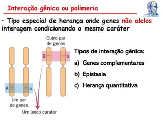 Tipos de interação gênica:
a) Genes complementares
b) Epistasia
c) Herança quantitativa
 