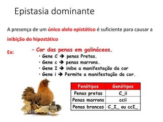A presença de um único alelo epistático é suficiente para causar a
inibição do hipostático
Ex:
Epistasia dominante
 