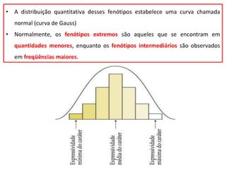 • A distribuição quantitativa desses fenótipos estabelece uma curva chamada
normal (curva de Gauss)
• Normalmente, os fenótipos extremos são aqueles que se encontram em
quantidades menores, enquanto os fenótipos intermediários são observados
em freqüências maiores.
 