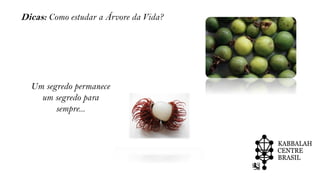 Um segredo permanece
um segredo para
sempre...
Dicas: Como estudar a Árvore da Vida?
 
