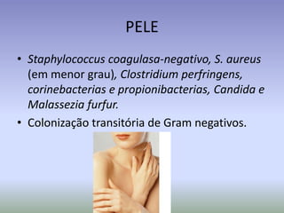 PELEStaphylococcuscoagulasa-negativo,S. aureus(em menor grau), Clostridiumperfringens, corinebacterias e propionibacterias, Candida e Malasseziafurfur.Colonização transitória de Gram negativos.