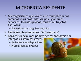 MICROBIOTA RESIDENTEMicrorganismosquevivem e se multiplicamnascamadasmaisprofundasdapele, glândulassebáceas, folículospilosos, feridasoutrajetosfistulosos;Staphylococcus coagulasenegativaParcialmenteeliminados: “Anti-sépticos”Baixavirulência, maspodem ser responsáveisporinfecçõessistêmicas gravesPacientesimunodeprimidosProcedimentosinvasivos