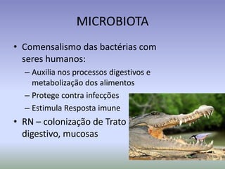 MICROBIOTAComensalismo das bactérias com seres humanos:Auxilia nos processos digestivos e metabolização dos alimentosProtege contra infecçõesEstimula Resposta imuneRN – colonização de Trato digestivo, mucosas