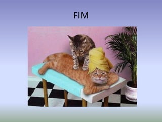 BOAS PRÁTICAS  Lavar as mãos antes e após a jornada