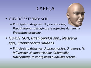 CABEÇAOUVIDO EXTERNO: SCNPrincipais patógenos: S. pneumoniae, Pseudomonasaeruginosae espécies da familia Enterobacteriaceae.OLHOS: SCN, Haemophilusspp., Neisseriaspp., Streptococcusviridans.Principais patógenos: S. pneumoniae, S. aureus, H. Influenzae, N. gonorrhoeae, Chlamydiatrachomatis, P. aeruginosae Bacilluscereus.