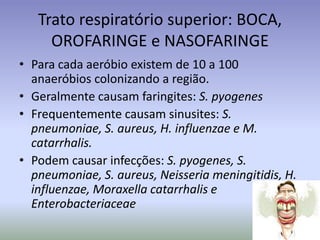 Trato respiratório superior: BOCA, OROFARINGE e NASOFARINGEPara cada aeróbio existem de 10 a 100 anaeróbios colonizando a região.Geralmente causam faringites: S. pyogenesFrequentemente causam sinusites: S. pneumoniae, S. aureus, H. influenzaee M. catarrhalis.Podem causar infecções: S. pyogenes, S. pneumoniae, S. aureus, Neisseriameningitidis, H. influenzae, Moraxellacatarrhalise Enterobacteriaceae
