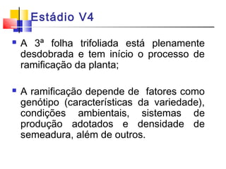 Estádio V4 
 A 3ª folha trifoliada está plenamente 
desdobrada e tem início o processo de 
ramificação da planta; 
 A ramificação depende de fatores como 
genótipo (características da variedade), 
condições ambientais, sistemas de 
produção adotados e densidade de 
semeadura, além de outros. 
 