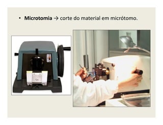 • Microtomia → corte do material em micrótomo.
 
