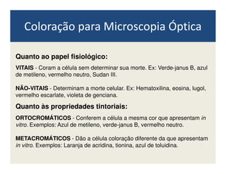 Quanto ao papel fisiológico:
VITAIS - Coram a célula sem determinar sua morte. Ex: Verde-janus B, azul
de metileno, vermelho neutro, Sudan III.
NÃO-VITAIS - Determinam a morte celular. Ex: Hematoxilina, eosina, lugol,
Coloração para Microscopia Óptica
NÃO-VITAIS - Determinam a morte celular. Ex: Hematoxilina, eosina, lugol,
vermelho escarlate, violeta de genciana.
Quanto às propriedades tintoriais:
ORTOCROMÁTICOS - Conferem a célula a mesma cor que apresentam in
vitro. Exemplos: Azul de metileno, verde-janus B, vermelho neutro.
METACROMÁTICOS - Dão a célula coloração diferente da que apresentam
in vitro. Exemplos: Laranja de acridina, tionina, azul de toluidina.
 
