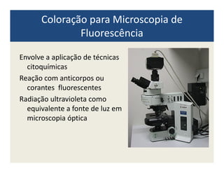 Coloração para Microscopia de
Fluorescência
Envolve a aplicação de técnicas
citoquímicas
Reação com anticorpos ou
corantes fluorescentescorantes fluorescentes
Radiação ultravioleta como
equivalente a fonte de luz em
microscopia óptica
 