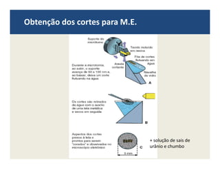 Obtenção dos cortes para M.E.
+ solução de sais de
urânio e chumbo
 