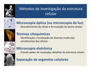 Métodos de investigação da estrutura
celular
Microscopia óptica (ou microscopia de luz)
Descobrimento da célula e formulação da teoria celular
Técnicas citoquímicasTécnicas citoquímicas
Identificação e localização de diversas moléculas
constituintes das células
Microscopia eletrônica
Grande poder de resolução; detalhes da estrutura celular
Separação de organelas celulares
 