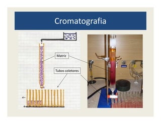 Cromatografia
Matriz
Tubos coletores
 