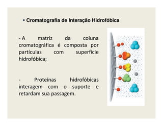 CromatografiaCromatografia dede InteraçãoInteração HidrofóbicaHidrofóbica
- A matriz da coluna
cromatográfica é composta por
partículas com superfície
hidrofóbica;
- Proteínas hidrofóbicas
interagem com o suporte e
retardam sua passagem.
 