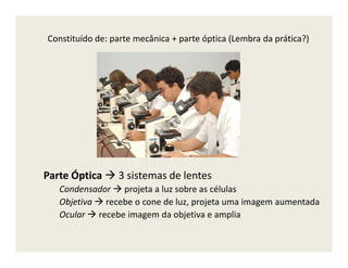 Constituído de: parte mecânica + parte óptica (Lembra da prática?)
Parte Óptica 3 sistemas de lentes
Condensador projeta a luz sobre as células
Objetiva recebe o cone de luz, projeta uma imagem aumentada
Ocular recebe imagem da objetiva e amplia
 