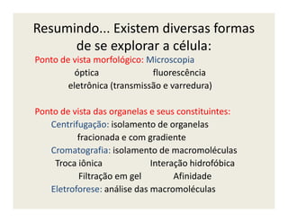 Resumindo... Existem diversas formas
de se explorar a célula:
Ponto de vista morfológico: Microscopia
óptica fluorescência
eletrônica (transmissão e varredura)
Ponto de vista das organelas e seus constituintes:Ponto de vista das organelas e seus constituintes:
Centrifugação: isolamento de organelas
fracionada e com gradiente
Cromatografia: isolamento de macromoléculas
Troca iônica Interação hidrofóbica
Filtração em gel Afinidade
Eletroforese: análise das macromoléculas
 