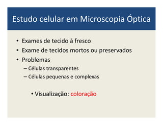 Estudo celular em Microscopia Óptica
• Exames de tecido à fresco
• Exame de tecidos mortos ou preservados
• Problemas• Problemas
– Células transparentes
– Células pequenas e complexas
• Visualização: coloração
 