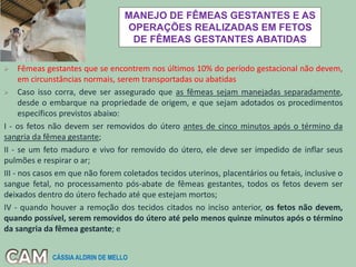 MANEJO DE FÊMEAS GESTANTES E AS
OPERAÇÕES REALIZADAS EM FETOS
DE FÊMEAS GESTANTES ABATIDAS
-
 Fêmeas gestantes que se encontrem nos últimos 10% do período gestacional não devem,
em circunstâncias normais, serem transportadas ou abatidas
 Caso isso corra, deve ser assegurado que as fêmeas sejam manejadas separadamente,
desde o embarque na propriedade de origem, e que sejam adotados os procedimentos
específicos previstos abaixo:
I - os fetos não devem ser removidos do útero antes de cinco minutos após o término da
sangria da fêmea gestante;
II - se um feto maduro e vivo for removido do útero, ele deve ser impedido de inflar seus
pulmões e respirar o ar;
III - nos casos em que não forem coletados tecidos uterinos, placentários ou fetais, inclusive o
sangue fetal, no processamento pós-abate de fêmeas gestantes, todos os fetos devem ser
deixados dentro do útero fechado até que estejam mortos;
IV - quando houver a remoção dos tecidos citados no inciso anterior, os fetos não devem,
quando possível, serem removidos do útero até pelo menos quinze minutos após o término
da sangria da fêmea gestante; e
CÁSSIA ALDRIN DE MELLO
 