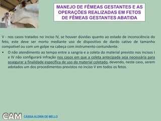 MANEJO DE FÊMEAS GESTANTES E AS
OPERAÇÕES REALIZADAS EM FETOS
DE FÊMEAS GESTANTES ABATIDA
V - nos casos tratados no inciso IV, se houver dúvidas quanto ao estado de inconsciência do
feto, este deve ser morto mediante uso de dispositivo de dardo cativo de tamanho
compatível ou com um golpe na cabeça com instrumento contundente.
• O não atendimento ao tempo entre a sangria e a coleta do material previsto nos incisos I
e IV não configurará infração nos casos em que a coleta antecipada seja necessária para
assegurar a finalidade específica de uso do material coletado, devendo, neste caso, serem
adotados um dos procedimentos previstos no inciso V em todos os fetos.
CÁSSIA ALDRIN DE MELLO
 