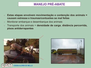  Estas etapas envolvem movimentação e contenção dos animais =
causam estresse e traumas/contusões se mal feitas
 Monitorar embarque e desembarque dos animais
 Transporte dos animais = densidade de carga, distância percorrida,
pisos antiderrapantes
MANEJO PRÉ-ABATE
CÁSSIA ALDRIN DE MELLO
 