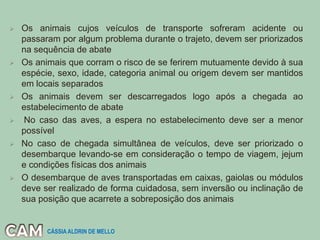  Os animais cujos veículos de transporte sofreram acidente ou
passaram por algum problema durante o trajeto, devem ser priorizados
na sequência de abate
 Os animais que corram o risco de se ferirem mutuamente devido à sua
espécie, sexo, idade, categoria animal ou origem devem ser mantidos
em locais separados
 Os animais devem ser descarregados logo após a chegada ao
estabelecimento de abate
 No caso das aves, a espera no estabelecimento deve ser a menor
possível
 No caso de chegada simultânea de veículos, deve ser priorizado o
desembarque levando-se em consideração o tempo de viagem, jejum
e condições físicas dos animais
 O desembarque de aves transportadas em caixas, gaiolas ou módulos
deve ser realizado de forma cuidadosa, sem inversão ou inclinação de
sua posição que acarrete a sobreposição dos animais
CÁSSIA ALDRIN DE MELLO
 
