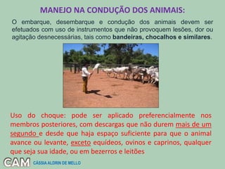 MANEJO NA CONDUÇÃO DOS ANIMAIS:
Uso do choque: pode ser aplicado preferencialmente nos
membros posteriores, com descargas que não durem mais de um
segundo e desde que haja espaço suficiente para que o animal
avance ou levante, exceto equídeos, ovinos e caprinos, qualquer
que seja sua idade, ou em bezerros e leitões
O embarque, desembarque e condução dos animais devem ser
efetuados com uso de instrumentos que não provoquem lesões, dor ou
agitação desnecessárias, tais como bandeiras, chocalhos e similares.
CÁSSIA ALDRIN DE MELLO
 