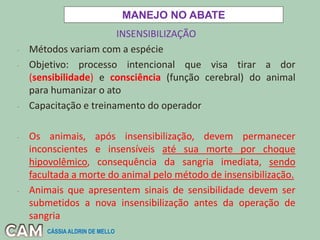 INSENSIBILIZAÇÃO
- Métodos variam com a espécie
- Objetivo: processo intencional que visa tirar a dor
(sensibilidade) e consciência (função cerebral) do animal
para humanizar o ato
- Capacitação e treinamento do operador
- Os animais, após insensibilização, devem permanecer
inconscientes e insensíveis até sua morte por choque
hipovolêmico, consequência da sangria imediata, sendo
facultada a morte do animal pelo método de insensibilização.
- Animais que apresentem sinais de sensibilidade devem ser
submetidos a nova insensibilização antes da operação de
sangria
MANEJO NO ABATE
CÁSSIA ALDRIN DE MELLO
 